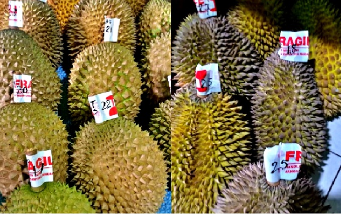 durian Brongkol